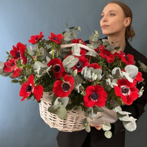 25 красных анемонов в корзине