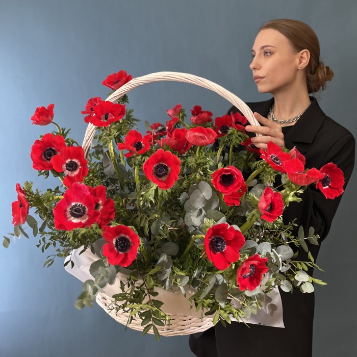 35 красных анемонов в корзине