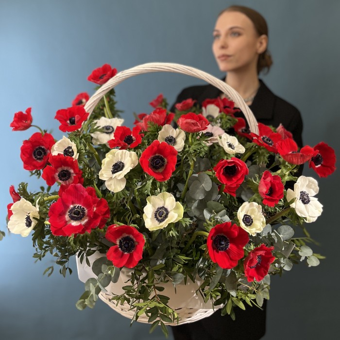 51 красный и белый Анемон в корзине