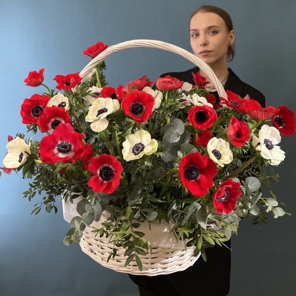 51 красный и белый Анемон в корзине