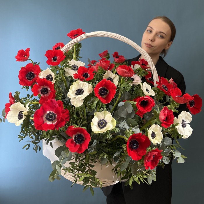 51 красный и белый Анемон в корзине