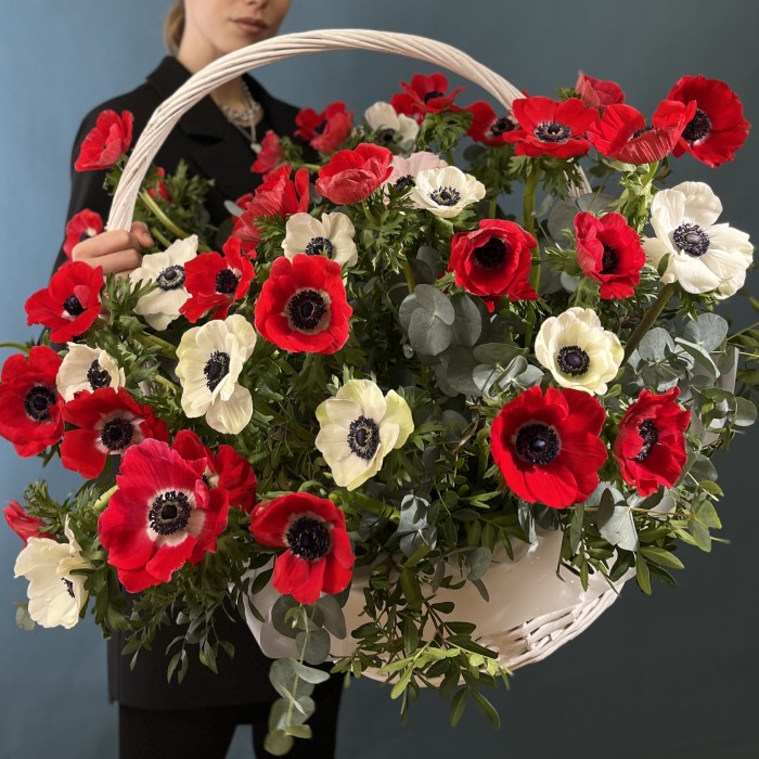 51 красный и белый Анемон в корзине