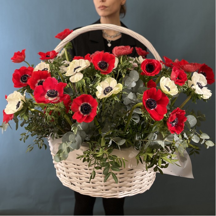 51 красный и белый Анемон в корзине