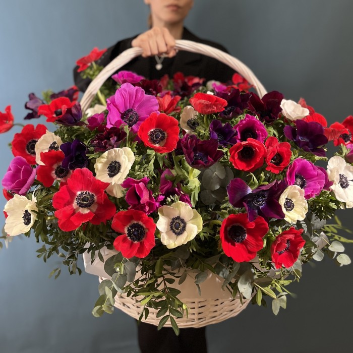51 яркий анемон в корзине MIX