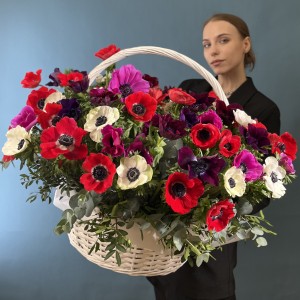 51 яркий анемон в корзине MIX