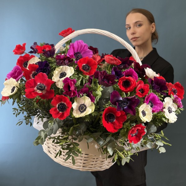 51 яркий анемон в корзине MIX