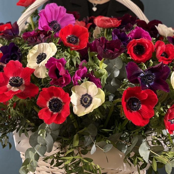 51 яркий анемон в корзине MIX