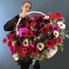 51 яркий анемон в корзине MIX