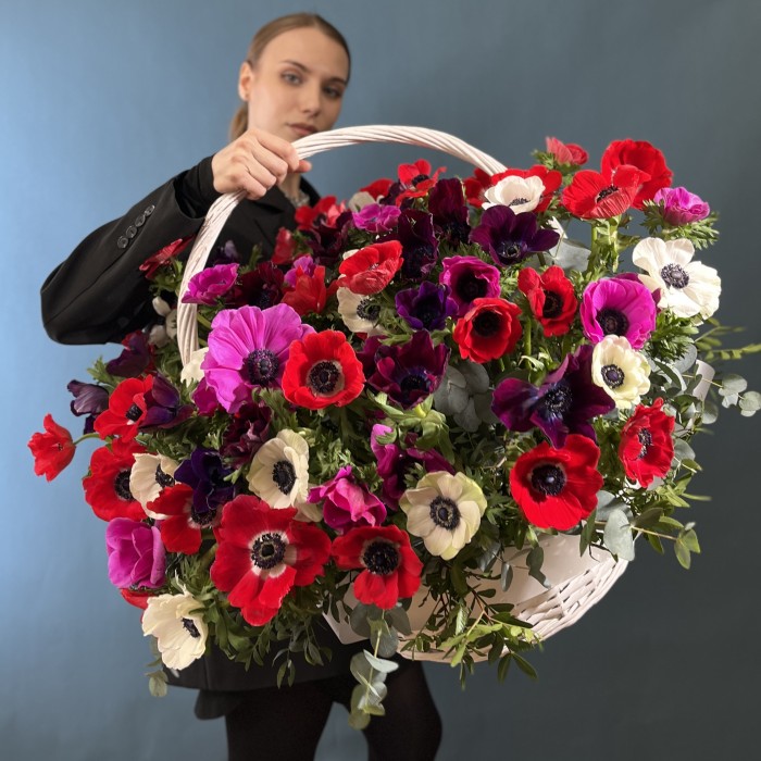 51 яркий анемон в корзине MIX