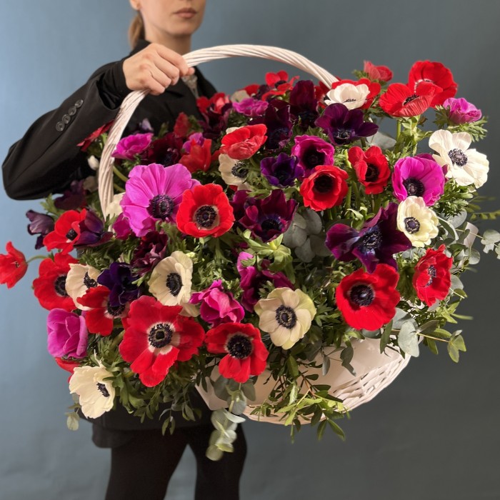 51 яркий анемон в корзине MIX