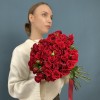 Кустовая красная роза Рубикон 80 см