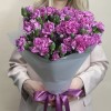 Букет из 15 сиреневых гвоздик с фиолетовой каймой