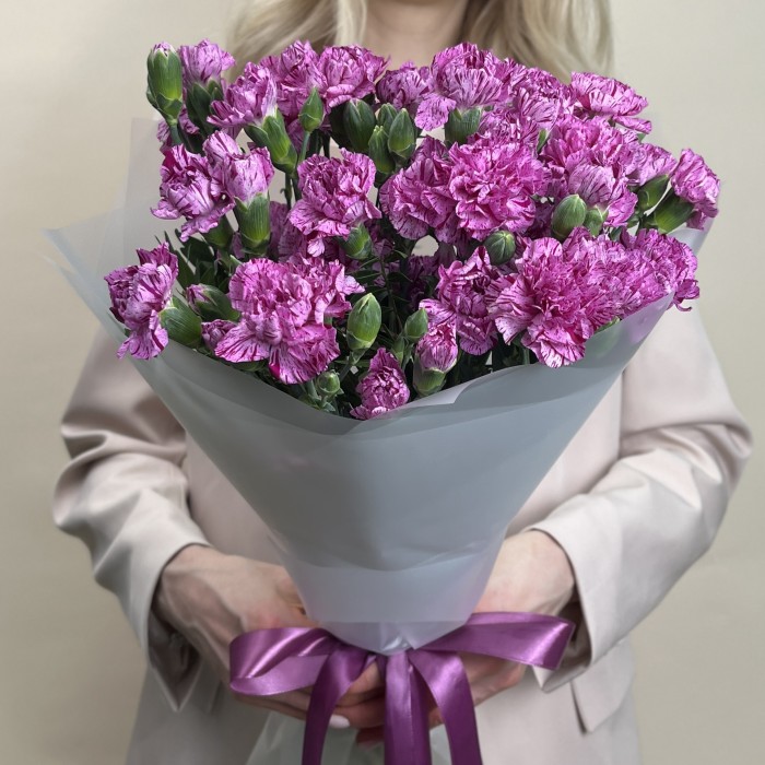 Букет из 15 сиреневых гвоздик с фиолетовой каймой