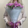 Букет из 15 сиреневых гвоздик с фиолетовой каймой