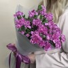 Букет из 15 сиреневых гвоздик с фиолетовой каймой