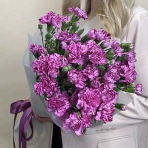 Букет из 15 сиреневых гвоздик с фиолетовой каймой