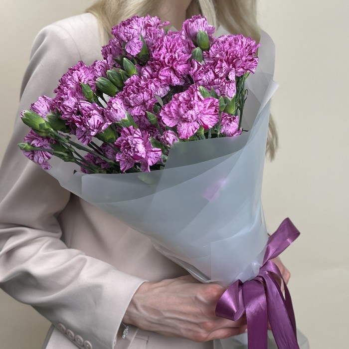 Букет из 15 сиреневых гвоздик с фиолетовой каймой