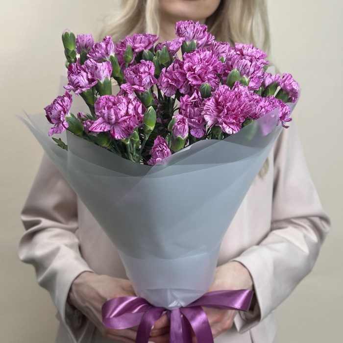 Букет из 15 сиреневых гвоздик с фиолетовой каймой