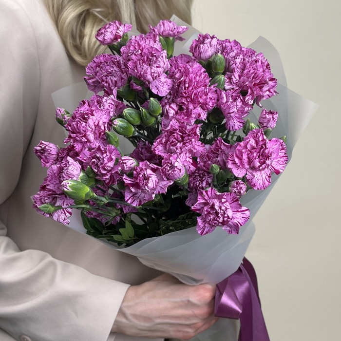 Букет из 15 сиреневых гвоздик с фиолетовой каймой