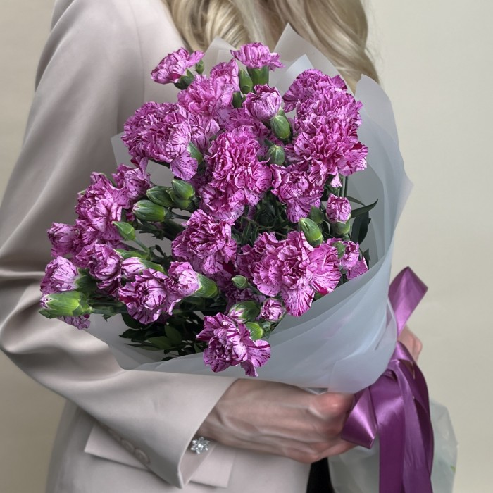 Букет из 15 сиреневых гвоздик с фиолетовой каймой