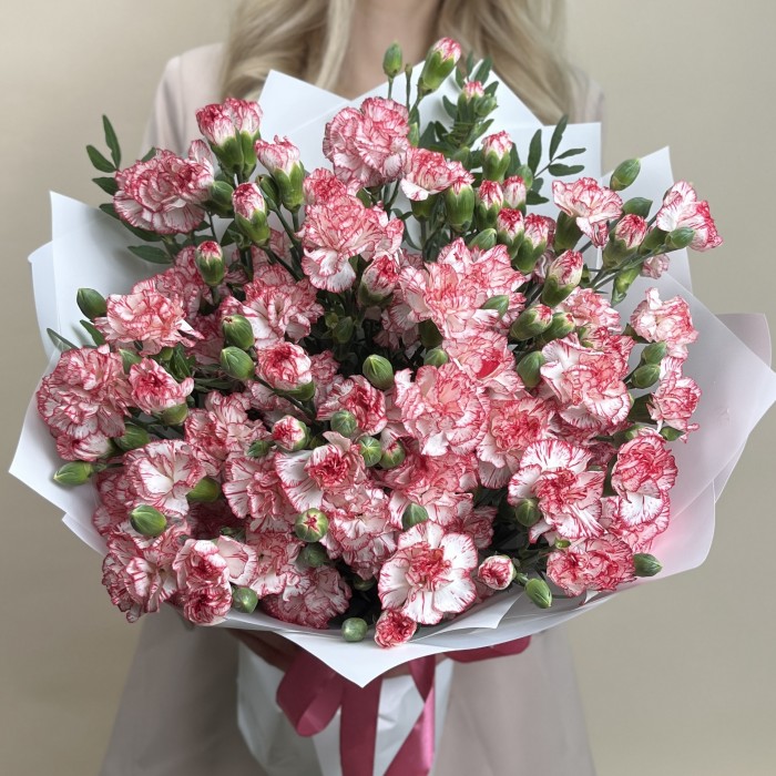 Букет из 25 белых гвоздик с красной каймой