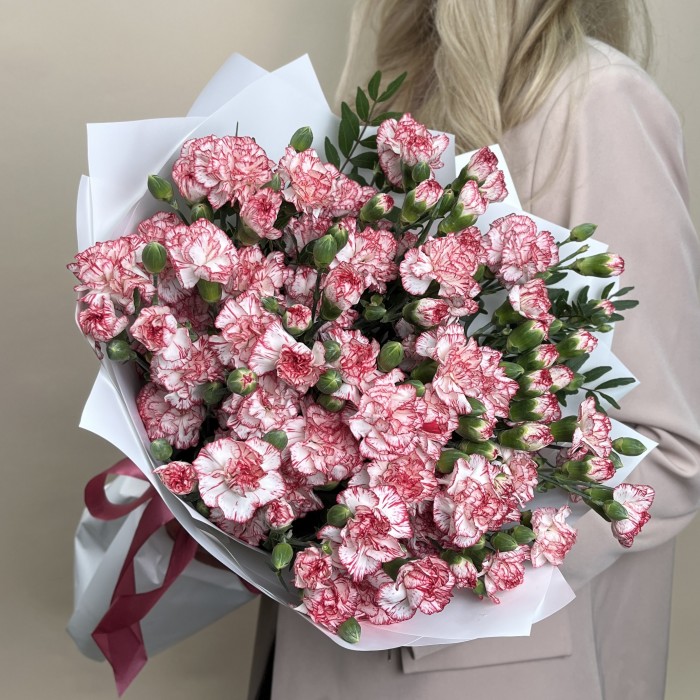 Букет из 25 белых гвоздик с красной каймой