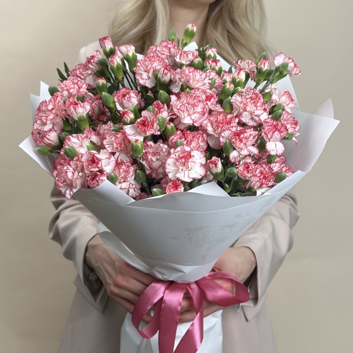 Букет из 25 белых гвоздик с красной каймой