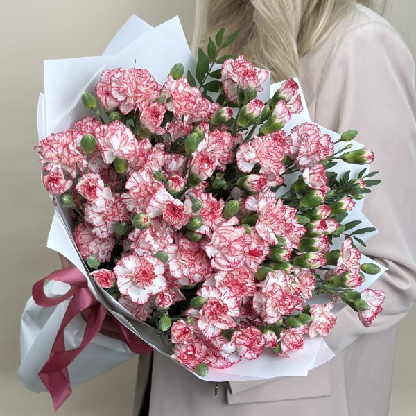 Букет из 25 белых гвоздик с красной каймой