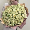 51 кустовая роза Триша 40 см
