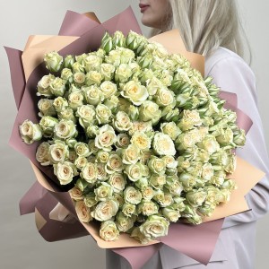 51 кустовая роза Триша 40 см