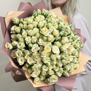 51 кустовая роза Триша 50 см