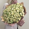 51 кустовая роза Триша 40 см