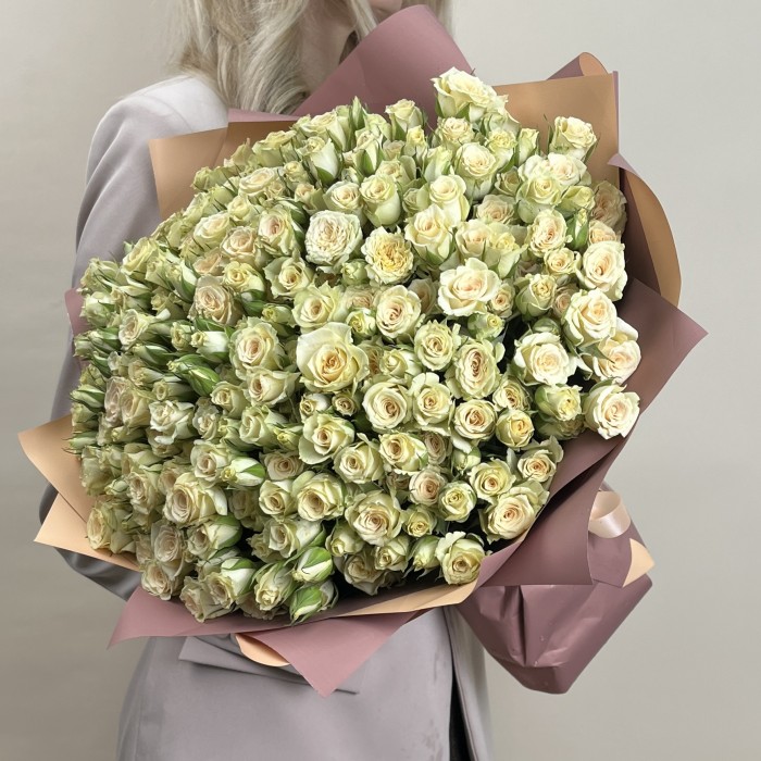 51 кустовая роза Триша 50 см