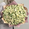 51 кустовая роза Триша 40 см