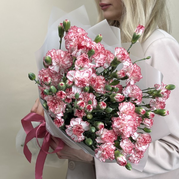 Букет из 15 белых гвоздик с красной каймой