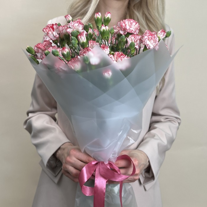 Букет из 15 белых гвоздик с красной каймой