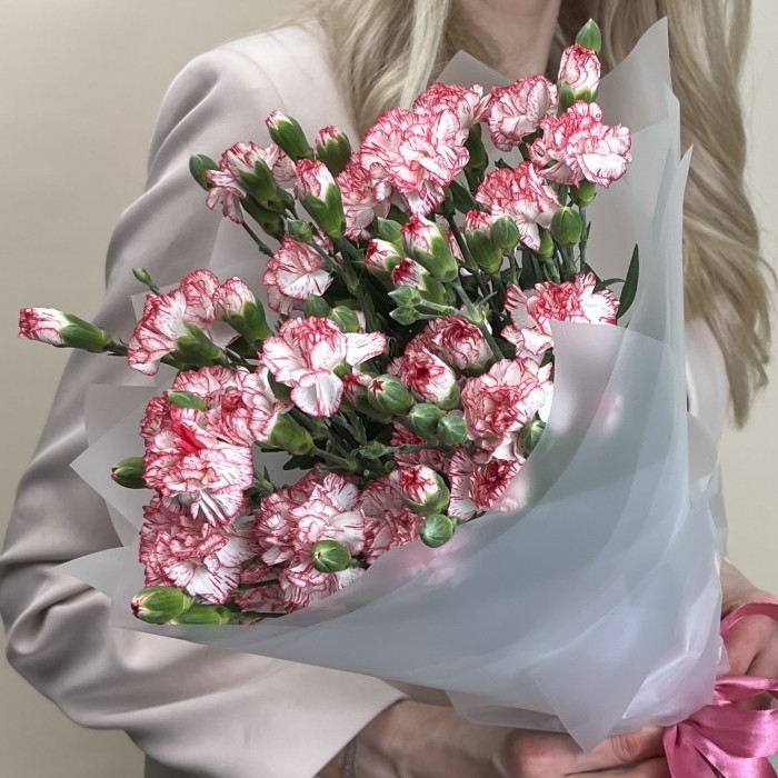 Букет из 15 белых гвоздик с красной каймой