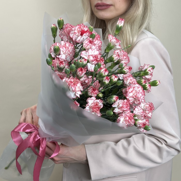 Букет из 15 белых гвоздик с красной каймой