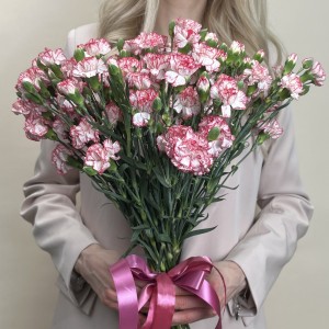 Гвоздика кустовая белая с красной каймой