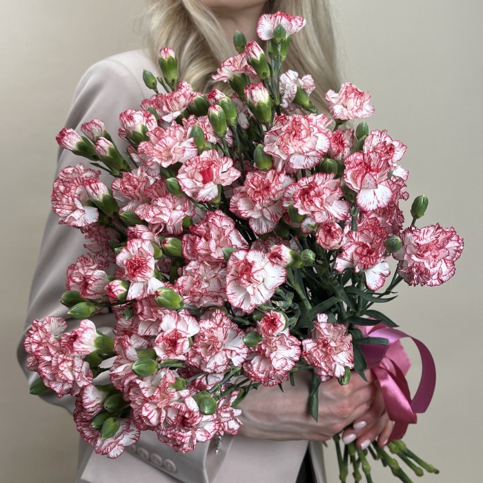 Гвоздика кустовая белая с красной каймой