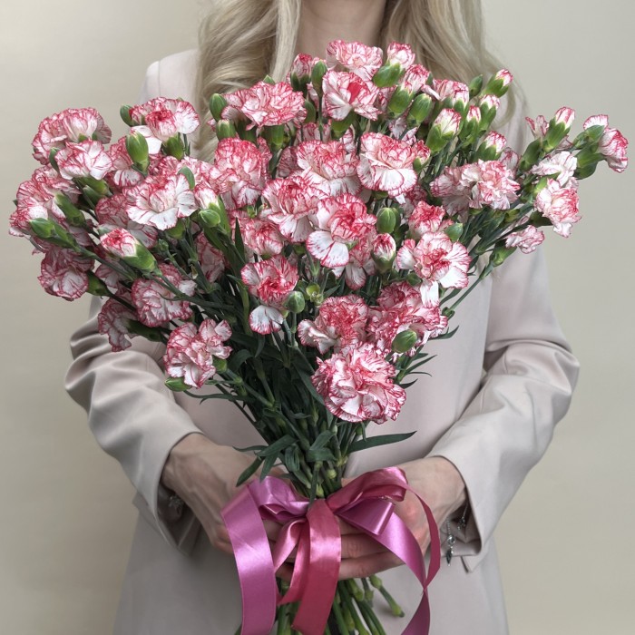 Гвоздика кустовая белая с красной каймой