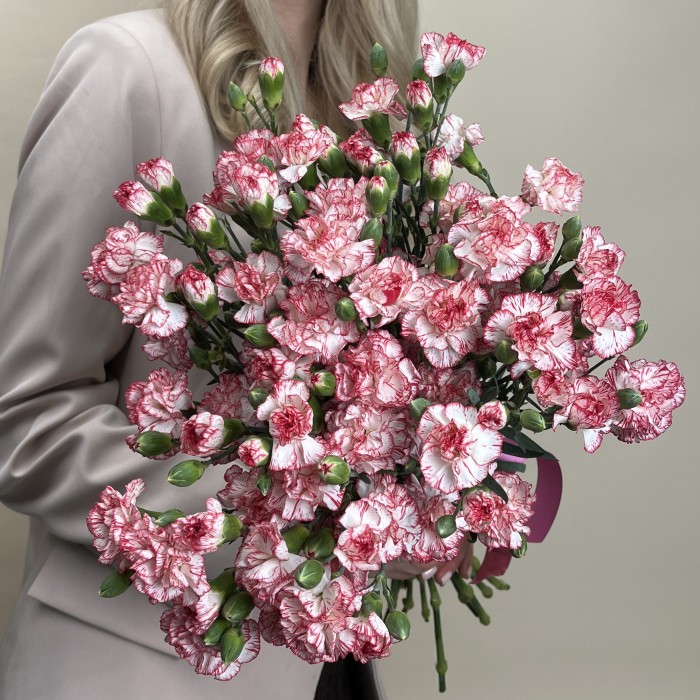 Гвоздика кустовая белая с красной каймой