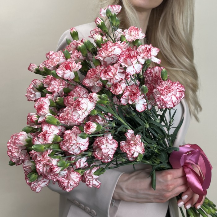 Гвоздика кустовая белая с красной каймой