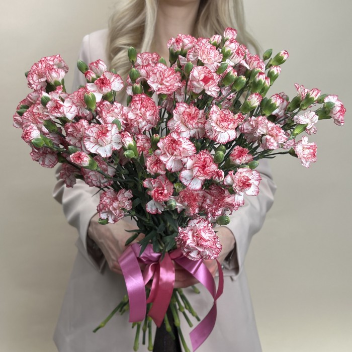 Гвоздика кустовая белая с красной каймой