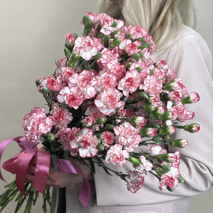 Гвоздика кустовая белая с красной каймой