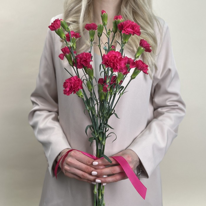 Букет из 5 малиновых гвоздик