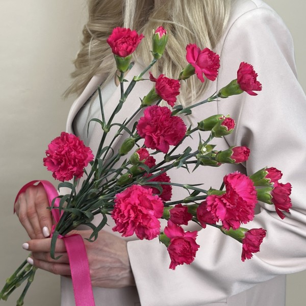 Букет из 5 малиновых гвоздик