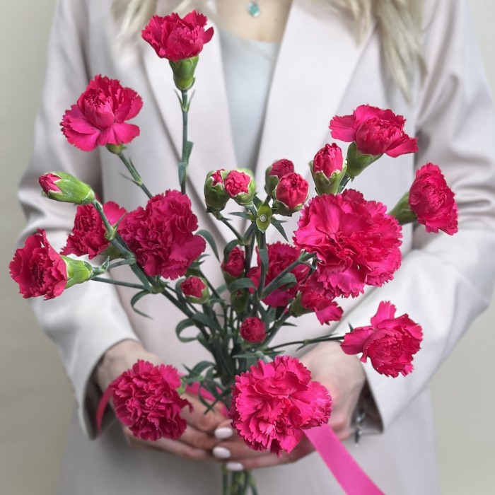 Букет из 5 малиновых гвоздик