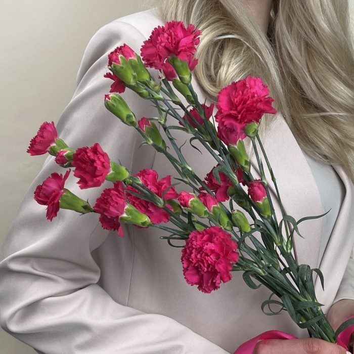 Букет из 5 малиновых гвоздик