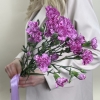 Букет из 5 сиреневых гвоздик с фиолетовой каймой